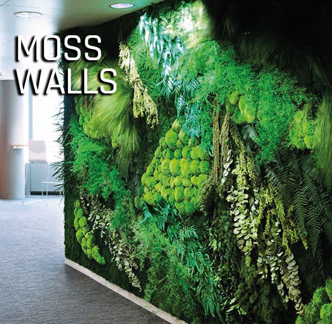 mosswalls